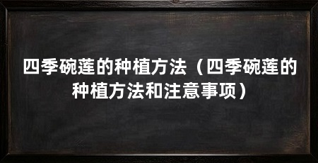 四季碗莲的种植方法（四季碗莲的种植方法和注意事项）