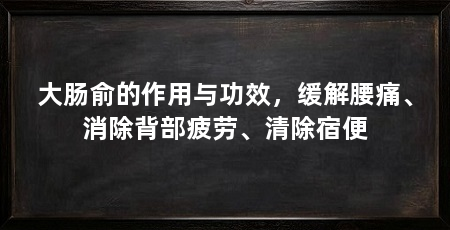 大肠俞的作用与功效，缓解腰痛、消除背部疲劳、清除宿便