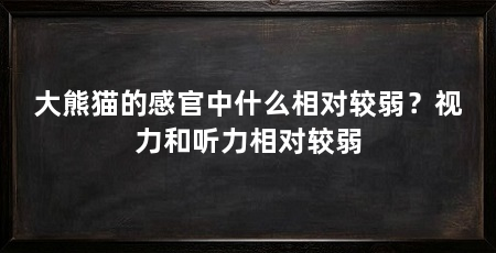大熊猫的感官中什么相对较弱？视力和听力相对较弱