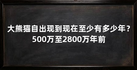 大熊猫自出现到现在至少有多少年?500万至2800万年前