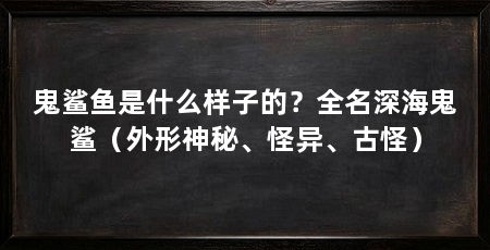 鬼鲨鱼是什么样子的？全名深海鬼鲨（外形神秘、怪异、古怪）