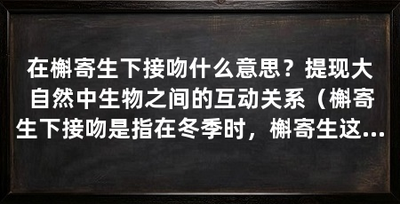 在槲寄生下接吻什么意思？提现大自然中生物之间的互动关系（槲寄生下接吻是指在冬季时，槲寄生这种寄生植物会在宿主树上依附