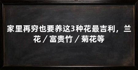 家里再穷也要养这3种花最吉利，兰花／富贵竹／菊花等