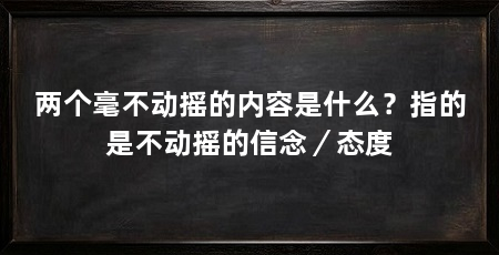 两个毫不动摇的内容是什么？指的是不动摇的信念／态度