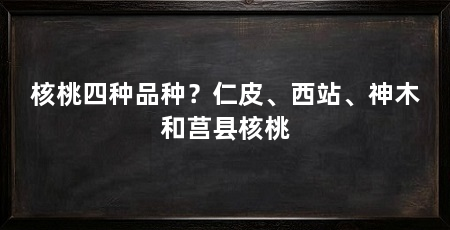 核桃四种品种？仁皮、西站、神木和莒县核桃