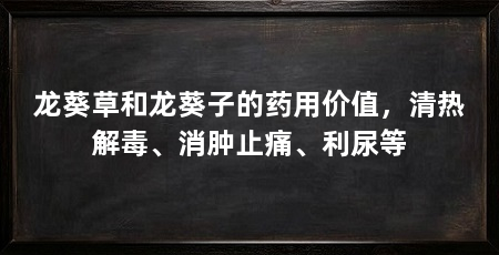 龙葵草和龙葵子的药用价值,清热解毒、消肿止痛、利尿等