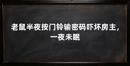 老鼠半夜按门铃输密码吓坏房主，一夜未眠