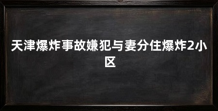 天津爆炸事故嫌犯与妻分住爆炸2小区