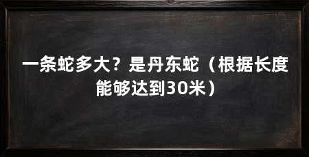 一条蛇多大？是丹东蛇（根据长度能够达到30米）