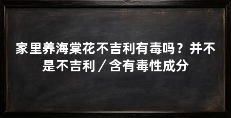 家里养海棠花不吉利有毒吗？并不是不吉利／含有毒性成分