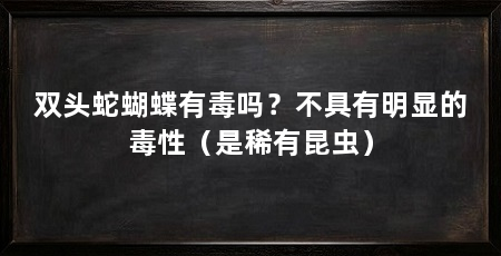 双头蛇蝴蝶有毒吗?不具有明显的毒性(是稀有昆虫)
