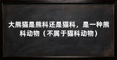 大熊猫是熊科还是猫科，是一种熊科动物（不属于猫科动物）