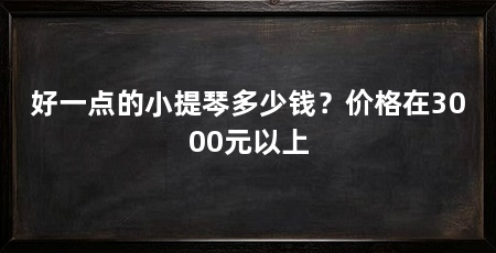 好一点的小提琴多少钱？价格在3000元以上
