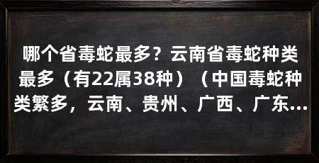 哪个省毒蛇最多？云南省毒蛇种类最多（有22属38种）（中国毒蛇种类繁多，云南、贵州、广西、广东等省份分布地