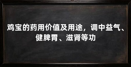 鸡宝的药用价值及用途，调中益气、健脾胃、滋肾等功