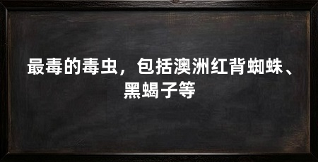 最毒的毒虫，包括澳洲红背蜘蛛、黑蝎子等