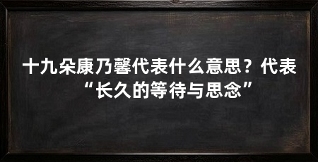 十九朵康乃馨代表什么意思？代表“长久的等待与思念”