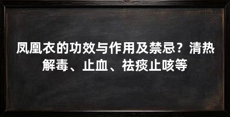 凤凰衣的功效与作用及禁忌？清热解毒、止血、祛痰止咳等