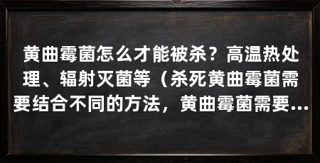 黄曲霉菌怎么才能被杀？高温热处理、辐射灭菌等（杀死黄曲霉菌需要结合不同的方法，黄曲霉菌需要结合不同的方法