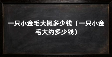 一只小金毛大概多少钱（一只小金毛大约多少钱）