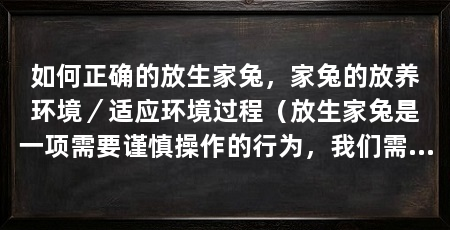 如何正确的放生家兔,家兔的放养环境/适应环境过程(放生家兔是一项需要谨慎操作的行为,我们需要遵循一些正确的放生方法