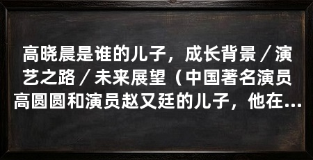 高晓晨是谁的儿子,成长背景/演艺之路/未来展望(中国著名演员高圆圆和演员赵又廷的儿子,他在娱乐圈备受关注