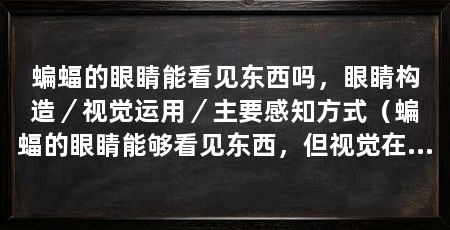 蝙蝠的眼睛能看见东西吗，眼睛构造／视觉运用／主要感知方式（蝙蝠的眼睛能够看见东西，但视觉在它们的感知中只起到辅助作用