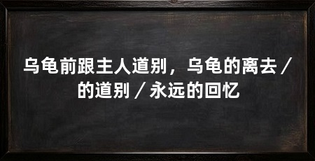 乌龟前跟主人道别,乌龟的离去/的道别/永远的回忆
