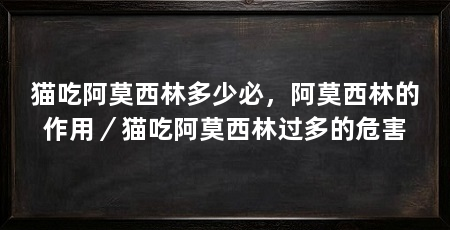 猫吃阿莫西林多少必，阿莫西林的作用／猫吃阿莫西林过多的危害