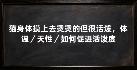 猫身体摸上去烫烫的但很活泼,体温/天性/如何促进活泼度