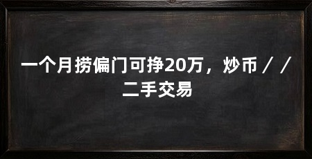 一个月捞偏门可挣20万，炒币／／二手交易