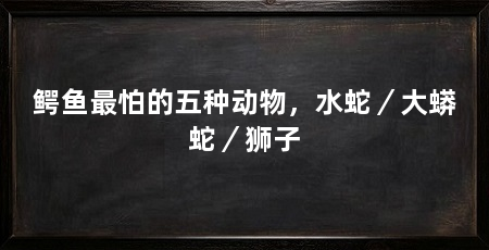 鳄鱼最怕的五种动物,水蛇/大蟒蛇/狮子