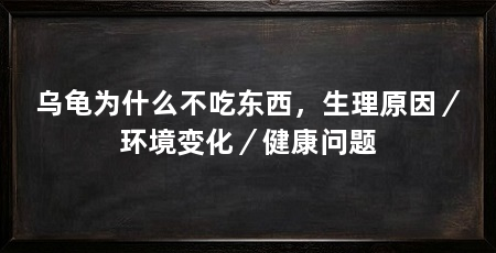 乌龟为什么不吃东西，生理原因／环境变化／健康问题