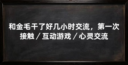 和金毛干了好几小时交流,第一次接触/互动游戏/心灵交流