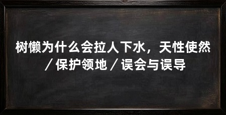 树懒为什么会拉人下水，天性使然／保护领地／误会与误导