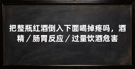 把整瓶红酒倒入下面喝掉疼吗,酒精/肠胃反应/过量饮酒危害