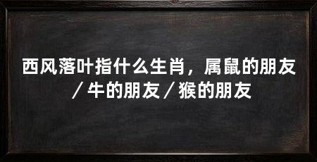 西风落叶指什么生肖，属鼠的朋友／牛的朋友／猴的朋友