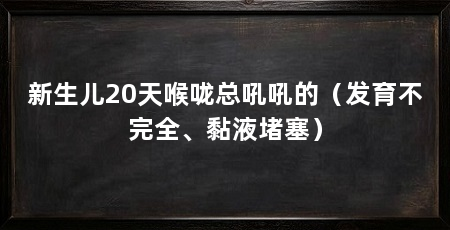 新生儿20天喉咙总吼吼的(发育不完全、黏液堵塞)