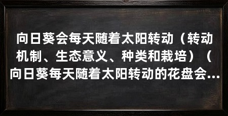 向日葵会每天随着太阳转动（转动机制、生态意义、种类和栽培）（向日葵每天随着太阳转动的花盘会发生一定的变化