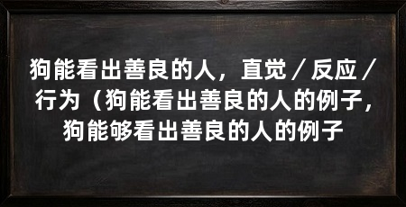 狗能看出善良的人,直觉/反应/行为(狗能看出善良的人的例子,狗能够看出善良的人的例子