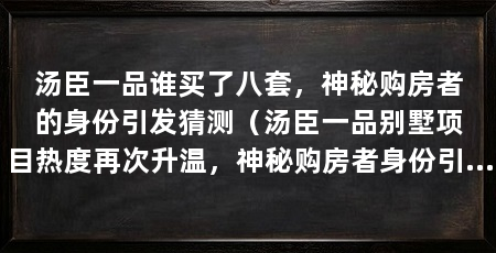 汤臣一品谁买了八套,神秘购房者的身份引发猜测(汤臣一品别墅项目热度再次升温,神秘购房者身份引发猜测