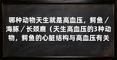 哪种动物天生就是高血压,鳄鱼/海豚/长颈鹿(天生高血压的3种动物,鳄鱼的心脏结构与高血压有关