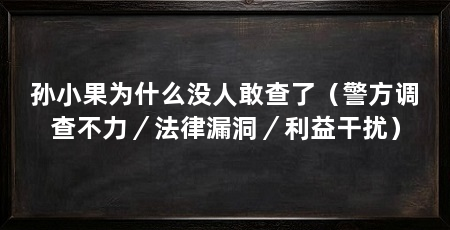 孙小果为什么没人敢查了(警方调查不力/法律漏洞/利益干扰)