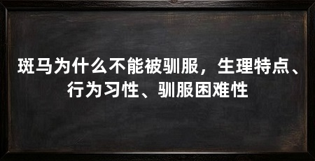 斑马为什么不能被驯服，生理特点、行为习性、驯服困难性