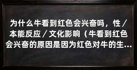 为什么牛看到红色会兴奋吗,性/本能反应/文化影响(牛看到红色会兴奋的原因是因为红色对牛的生理和行为特征有关