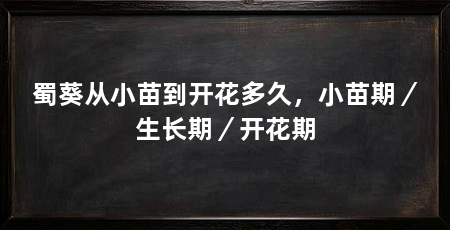 蜀葵从小苗到开花多久，小苗期／生长期／开花期