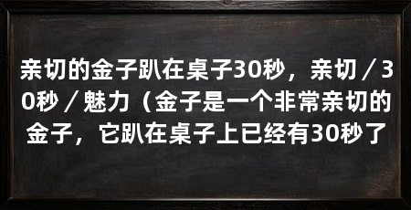 亲切的金子趴在桌子30秒，亲切／30秒／魅力（金子是一个非常亲切的金子，它趴在桌子上已经有30秒了
