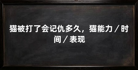 猫被打了会记仇多久，猫能力／时间／表现