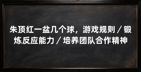 朱顶红一盆几个球，游戏规则／锻炼反应能力／培养团队合作精神