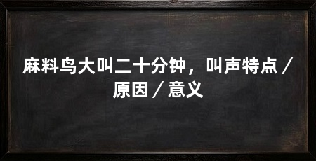 麻料鸟大叫二十分钟,叫声特点/原因/意义